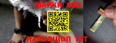 шишки Краснознаменск