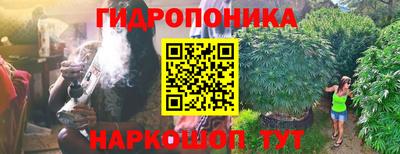 spice Кулебаки