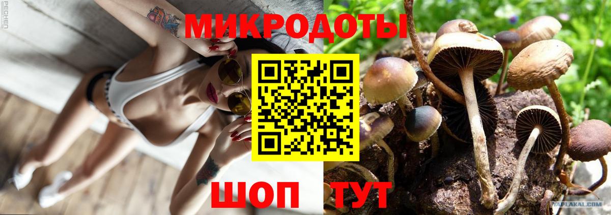 даркнет сайт  Псилоцибиновые грибы GOLDEN TEACHER  Вход с VPN  Галлюциногенные грибы GOLDEN TEACHER  Кириши 