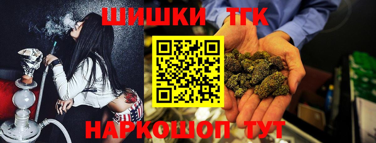 Конопля сатива Кириши